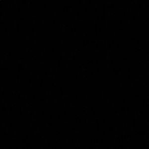 Meet your Posher, Misty